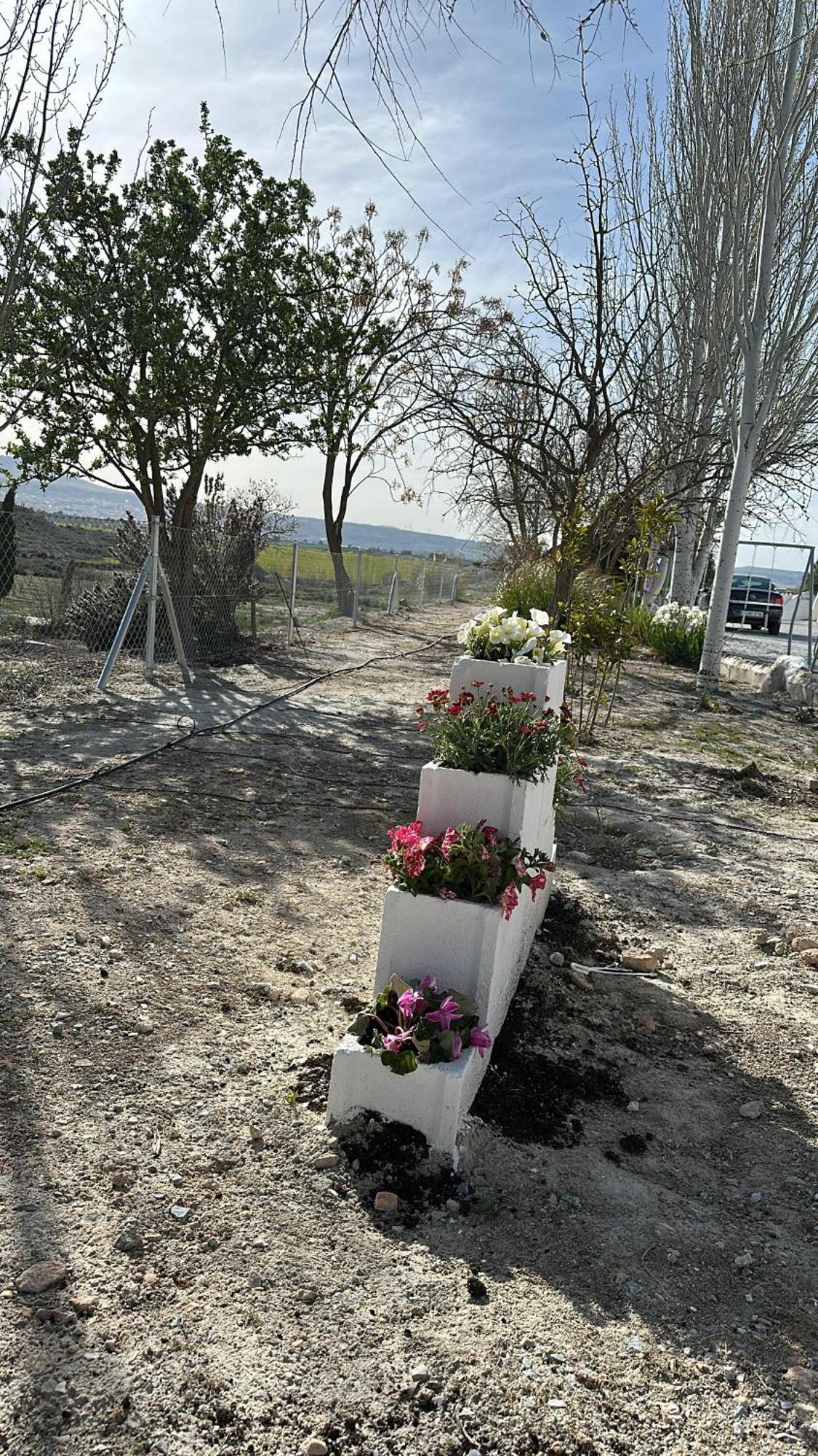 Alojamientos Cuevas Tiana El Aljibete Luaran gambar