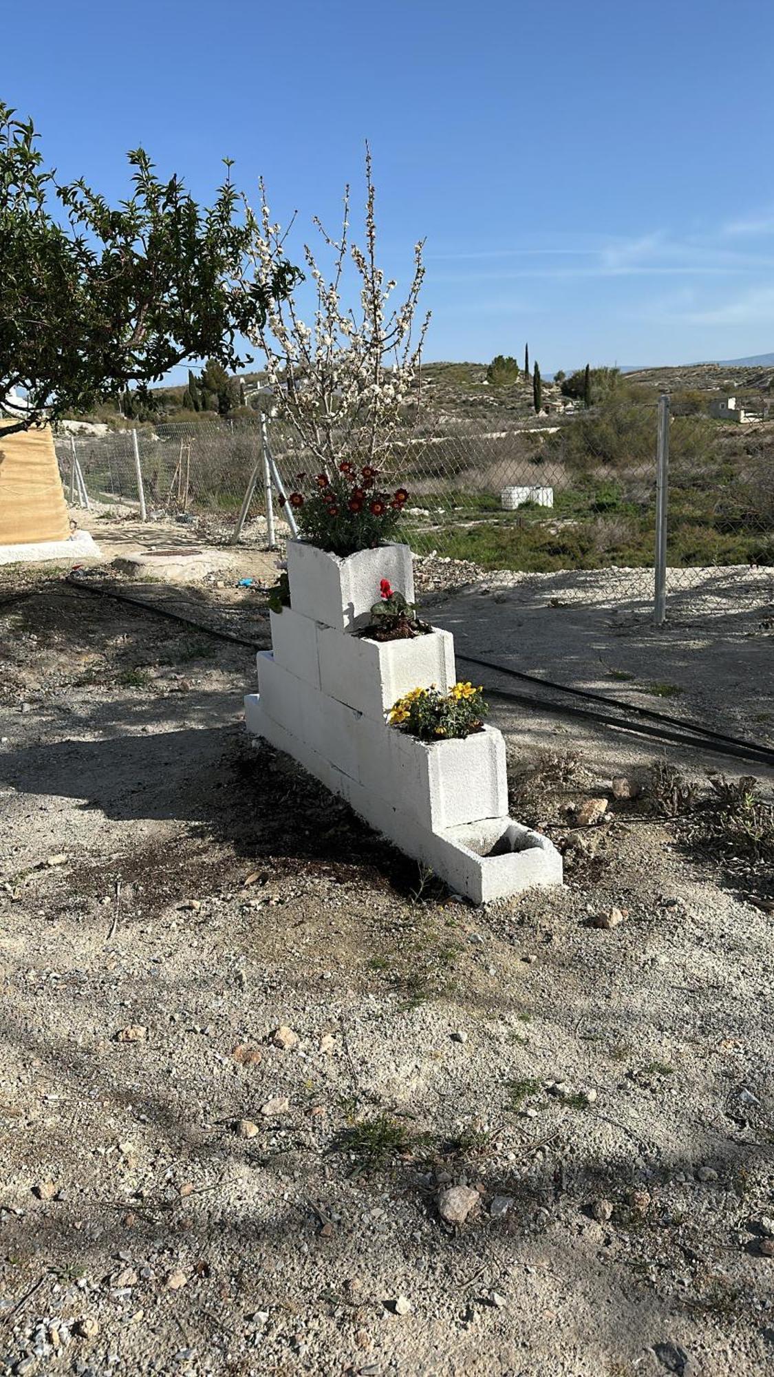 Alojamientos Cuevas Tiana El Aljibete Luaran gambar